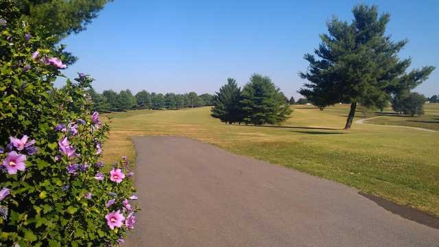 The Pines at Lindsey Wilson