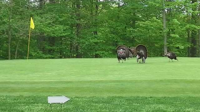 Hinckley Hills Golf Course