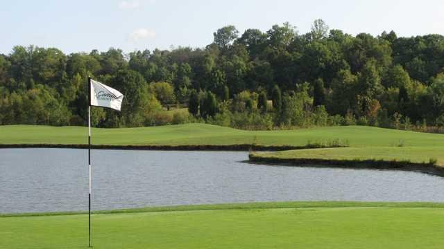 Cattails at MeadowView