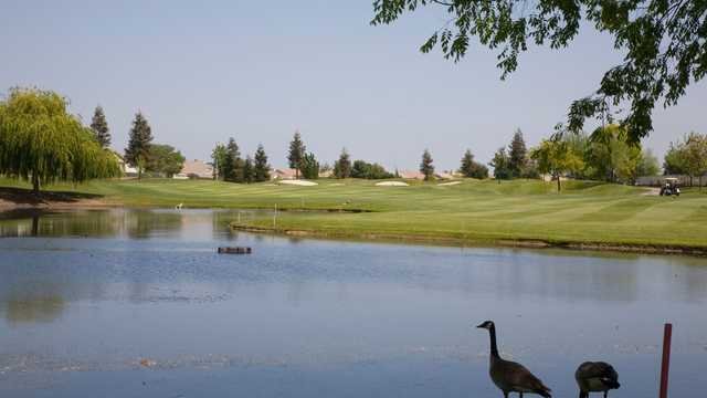 Timber Creek Golf Course