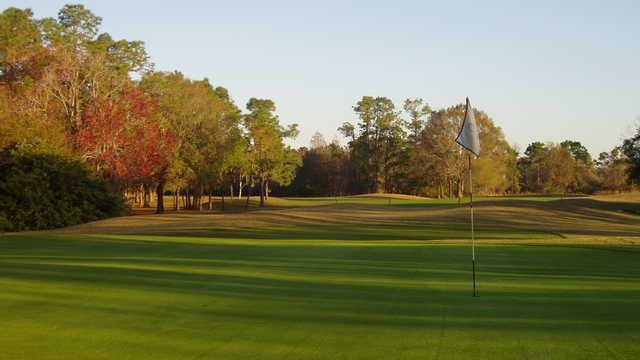 The Eagles Golf Club - Forest