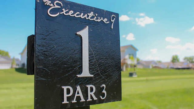 Woodland Hills - The Executive 9