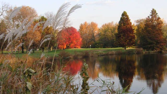 Winnetka Golf Club - Executive