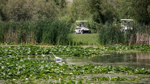 Glendale Lakes Golf Club