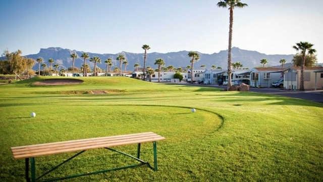 Gold Canyon Golf and RV Resort