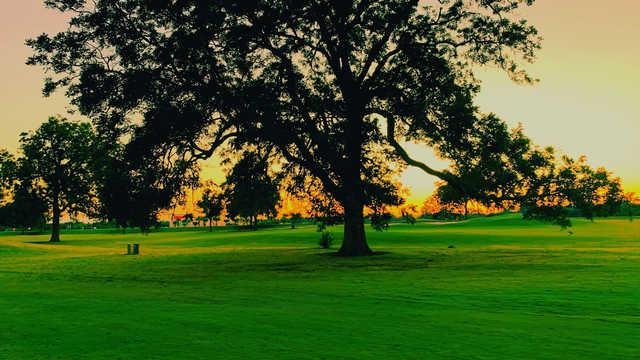 The Club at Pecan Grove