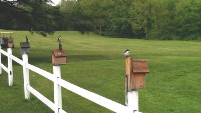 Salmon Falls Golf Course