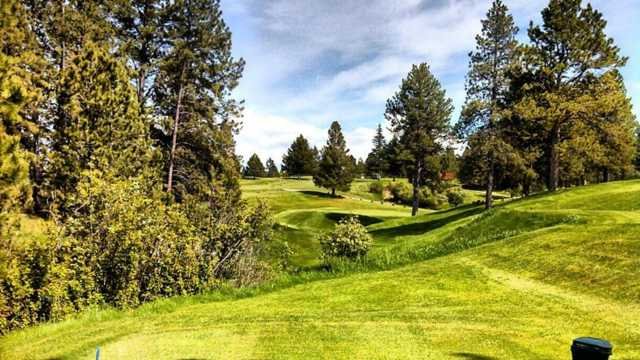 Pine Meadows Golf Course