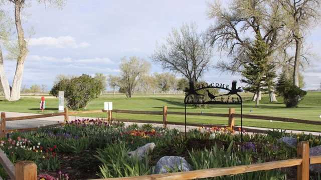 Cottonwood at Torrngton