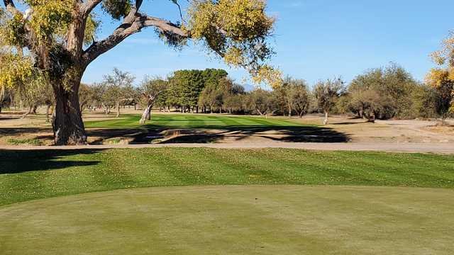 Mt. Graham Golf Club