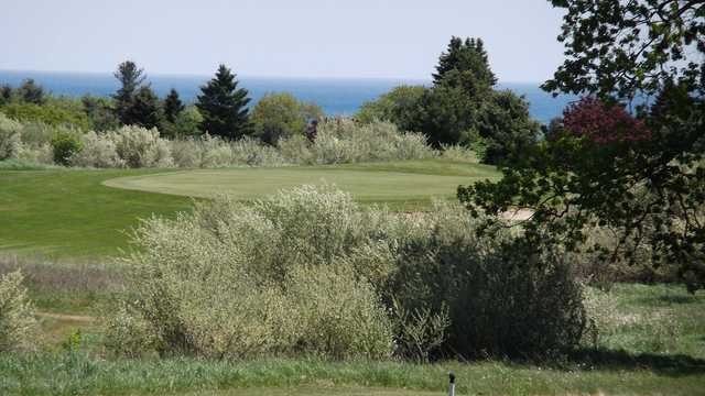 Loggers Trace at Springport Hills