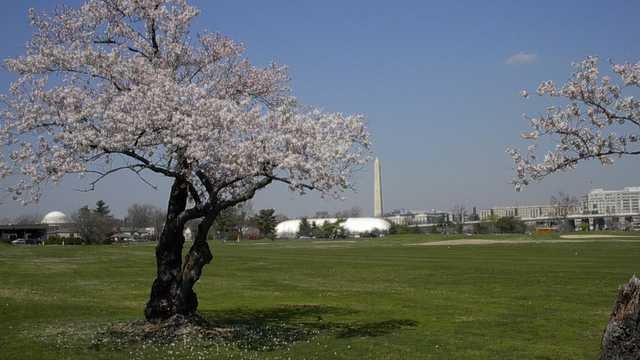 East Potomac Golf Links- Red Course