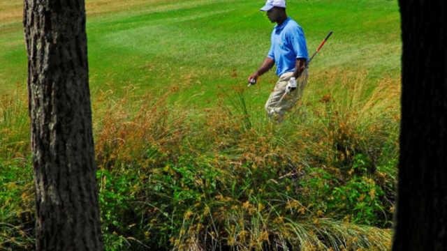 Pipestem Par 3 Golf Course