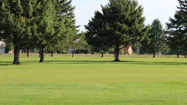 Little Pine Nine at Pine View