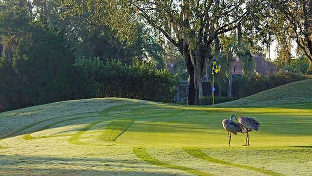 The River Club Golf Course