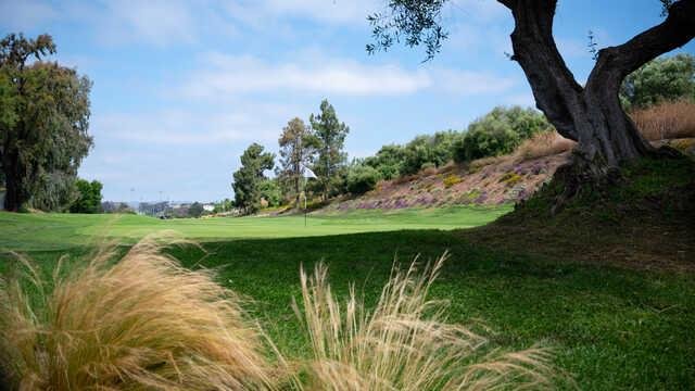 Shorecliffs Golf Club