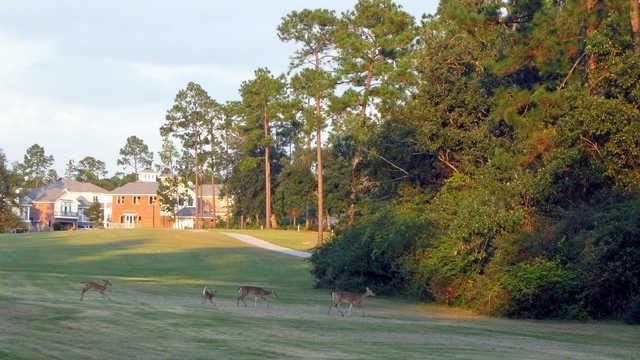 Diamondhead Country Club - Cardinal Course