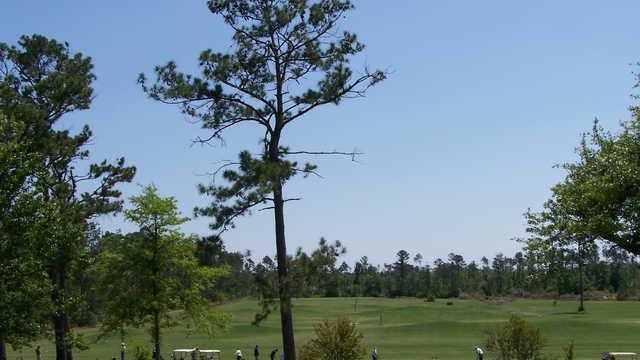 Diamondhead Country Club - Pine Course