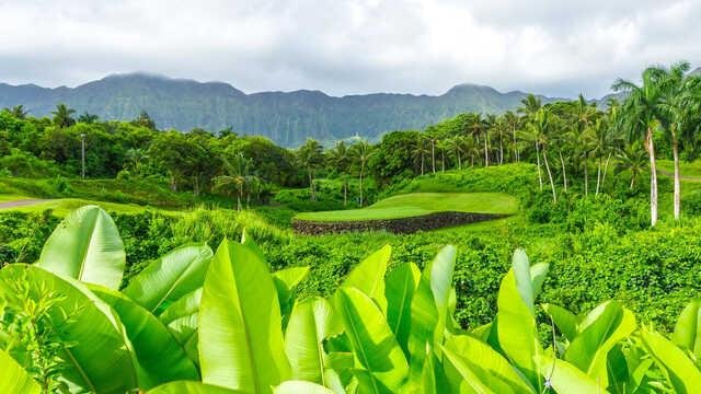 Royal Hawaiian Golf Club