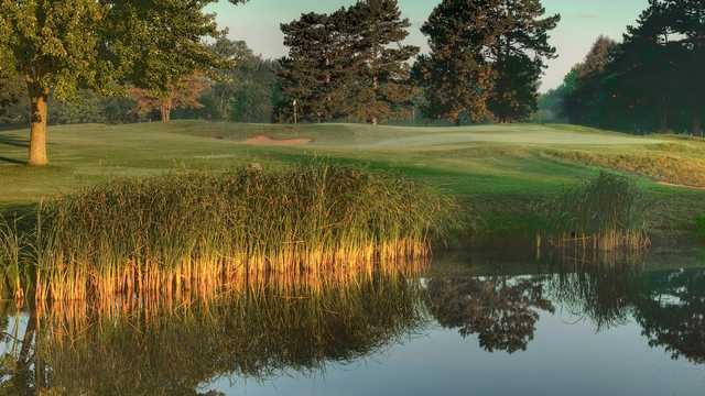 Heritage Oaks (IL) Legacy 9