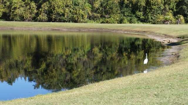 Silver Dollar Golf Club