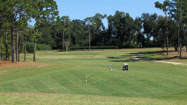 Cypress Lakes Golf Club - FL