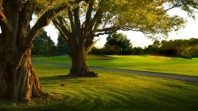 Sawmill Creek Resort