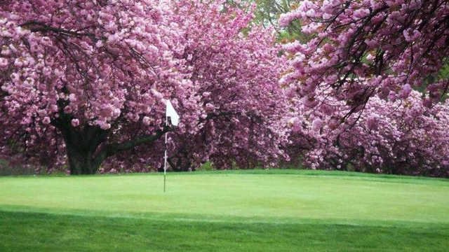 Mountain View Golf Course