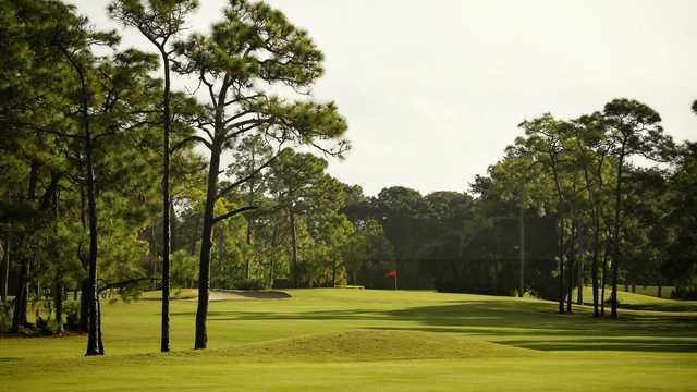 Palmetto-Pine Country Club