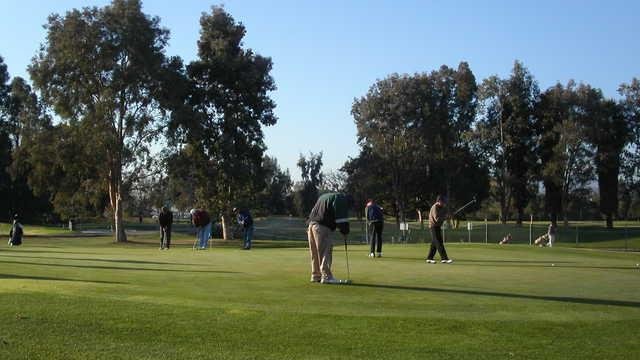 Skylinks at Buchanan Fields