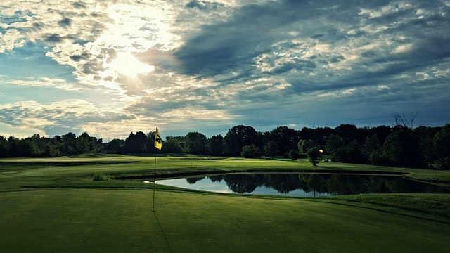 Oak Ridge - Old Oaks