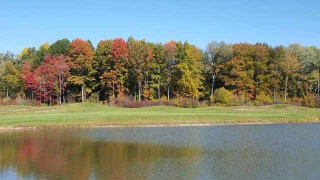 Oak Ridge - Marsh Oaks