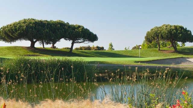 Shoreline Golf Links