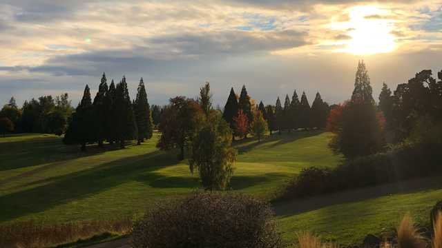 The Nines Golf Course