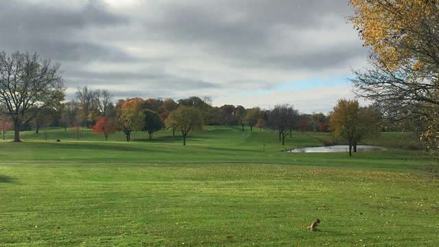 Fox Hills Golf-Strategic Fox-Par 3