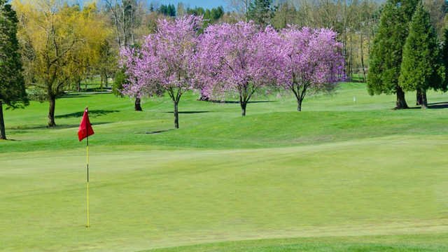 Miami Springs Golf & Country Club