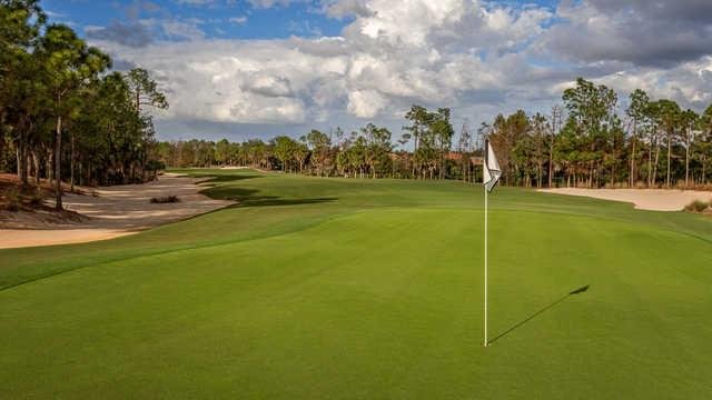 Tiburon Golf Club - Black Course