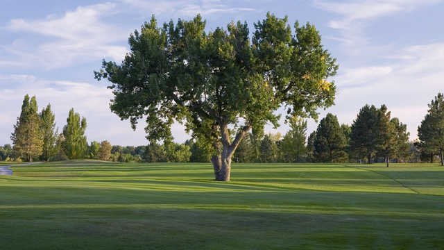 Hyland Hills Golf - Blue Course