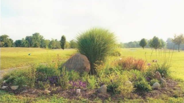 Tameka Woods Golf Club